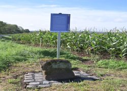 2023-09-17_Grenzstein_Stadtkyll-Dahlem