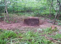 PHOTO-2023-07-28-12-23-00